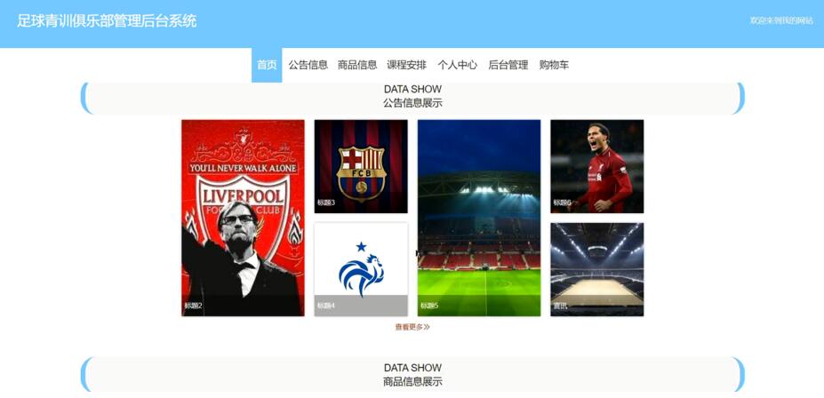 基于Web足球青训俱乐部管理后台系统-计算机毕业设计源码+LW文档