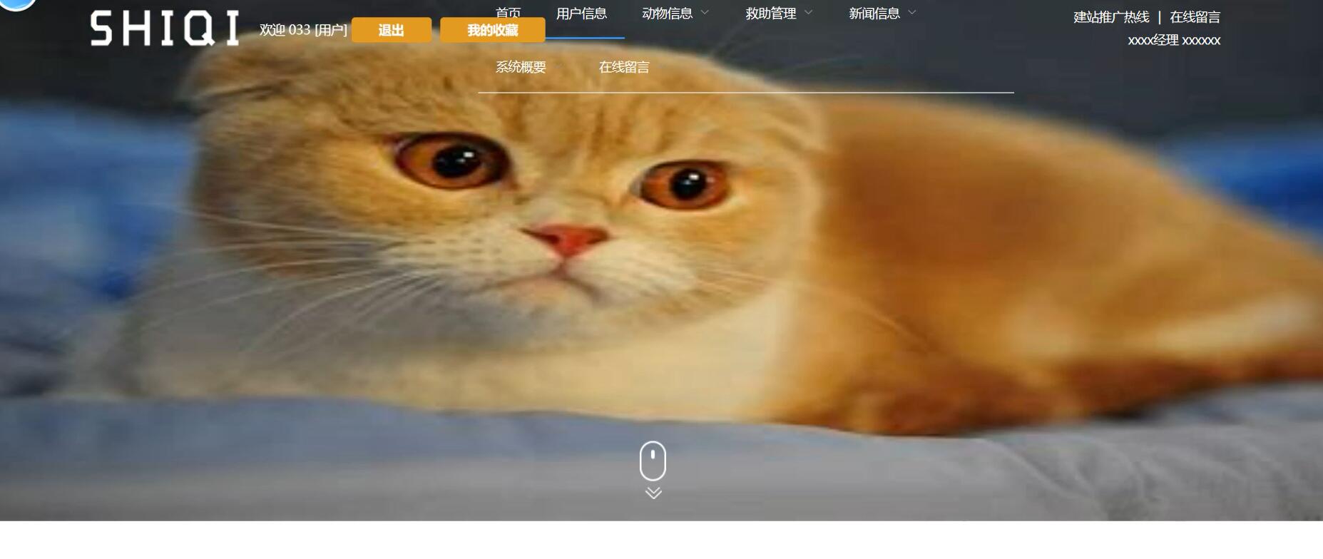 基于VUE的流浪动物收容管理平台[VUE]-计算机毕业设计源码+LW文档