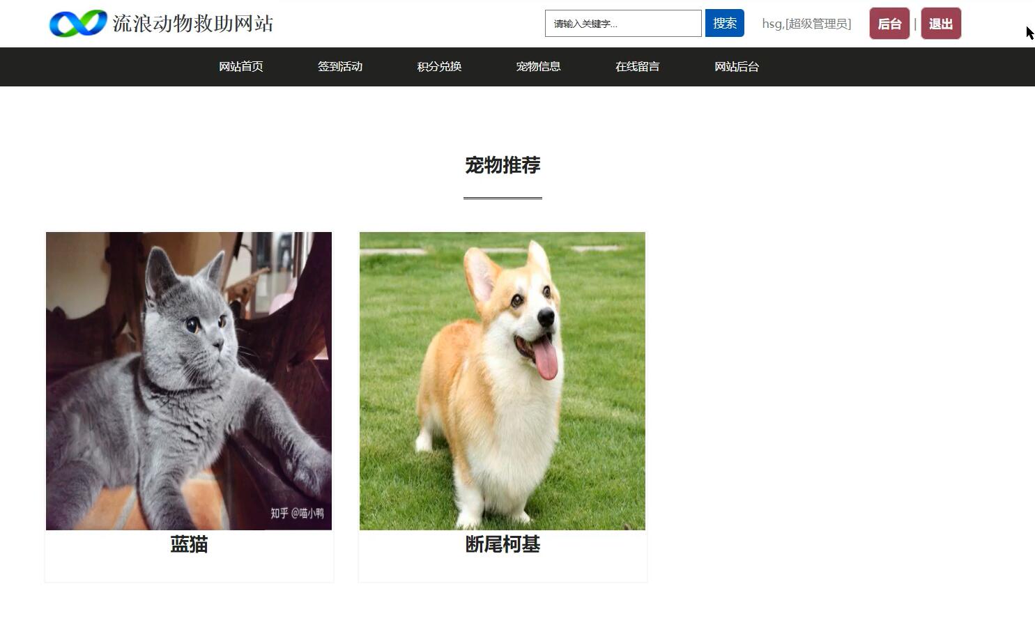 基于.NET的流浪动物救助网站[.NET]-计算机毕业设计源码+LW文档