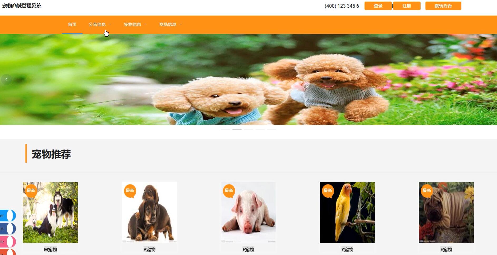 基于VUE的宠物商城管理系统[VUE]-计算机毕业设计源码+LW文档